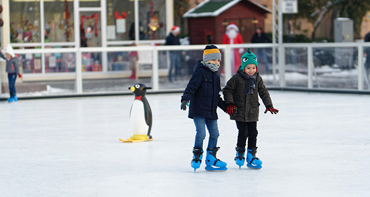 Outdoor Ice Rinks